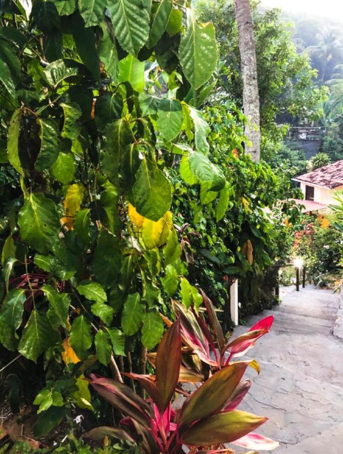 Bed and Breakfast Remanso Da Ilha Morro de São Paulo Zewnętrze zdjęcie